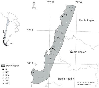 Effect of Land Use History on Biodiversity of Pine Plantations